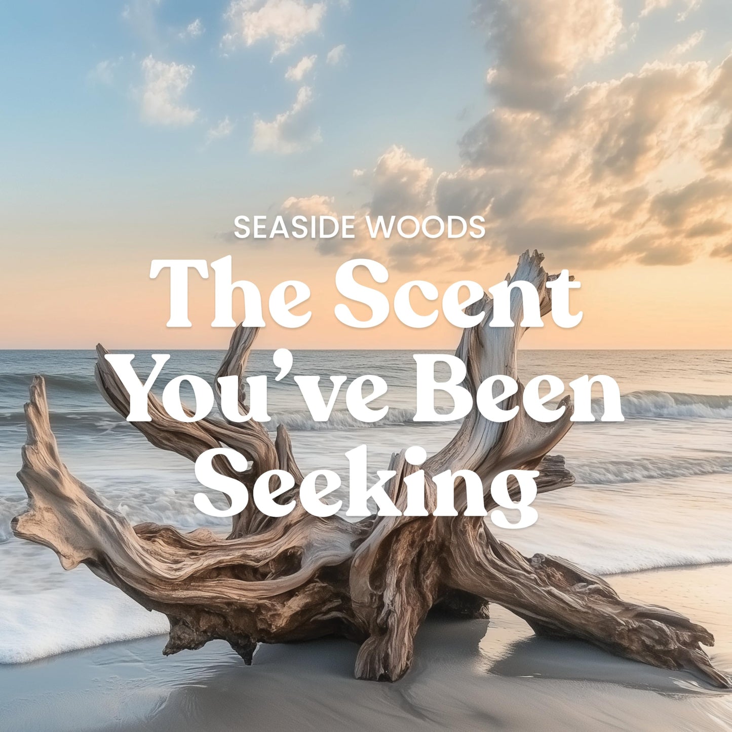 Yankee Candle Cliffside Sunrise, Scented Candle, 22oz Large Jar with up to 150 Hour Burn Time, Giftable