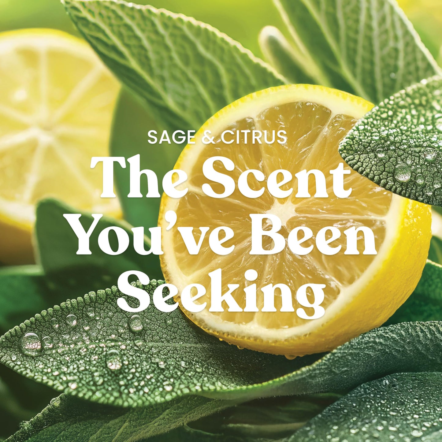 Yankee Candle Cliffside Sunrise, Scented Candle, 22oz Large Jar with up to 150 Hour Burn Time, Giftable